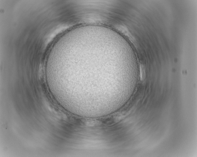 X0000088610579200706151829