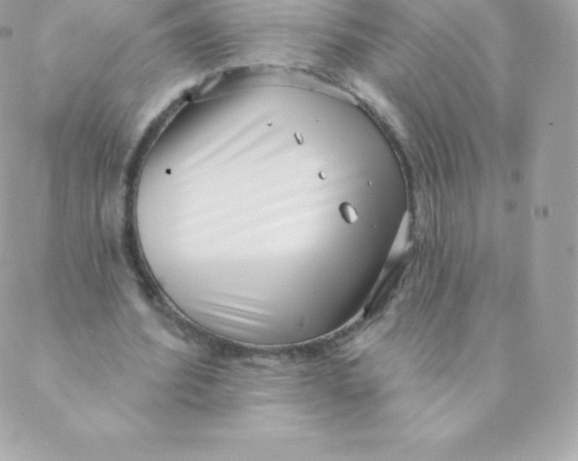 X0000088610580200706151829