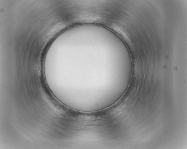 X0000088610582200706151829