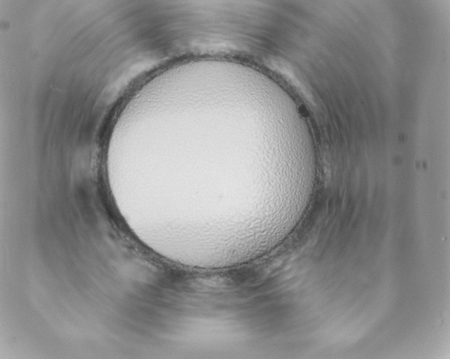 X0000088610583200706151829