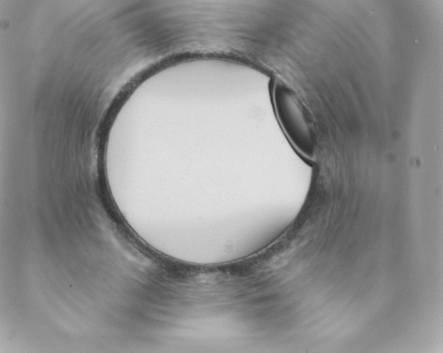 X0000088610584200706151829