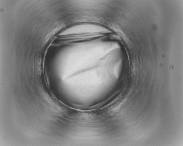 X0000088610585200706151829