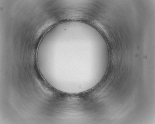 X0000088610586200706151829