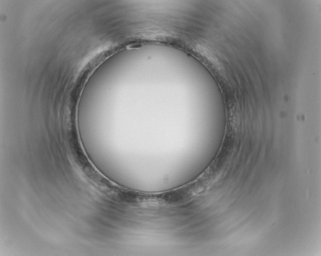 X0000088610587200706151829