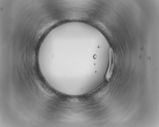 X0000088610588200706151829