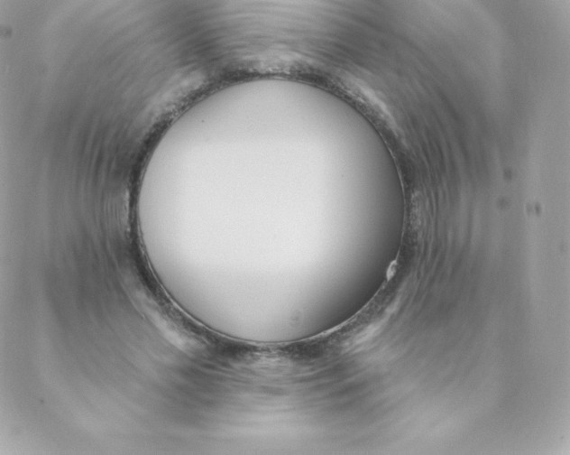 X0000088610589200706151829