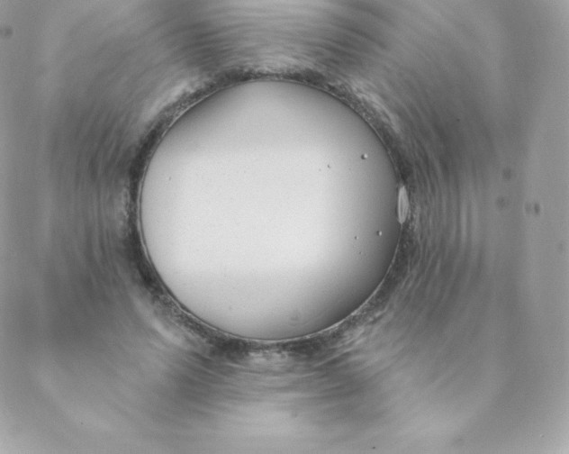 X0000088610591200706151829