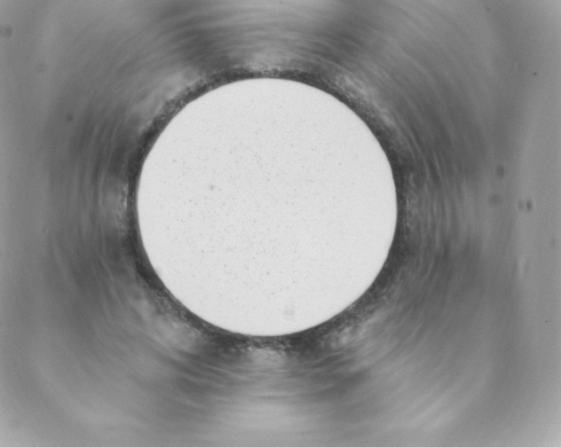 X0000088610592200706151829