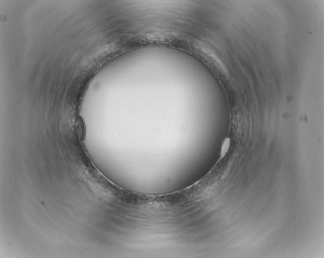 X0000088610593200706151829