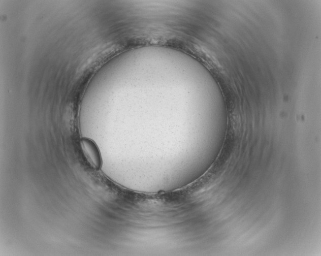 X0000088610594200706151829