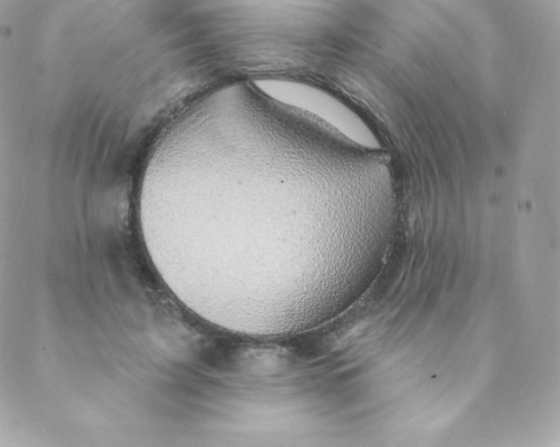 X0000088610595200706151829