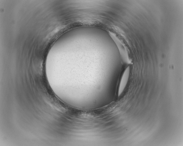 X0000088610596200706151829