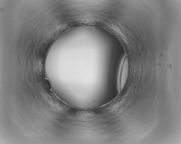 X0000088610597200706151829