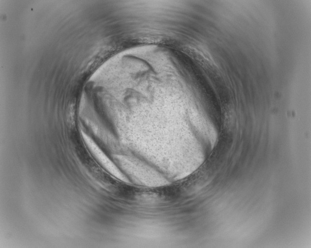 X0000088610598200706151829