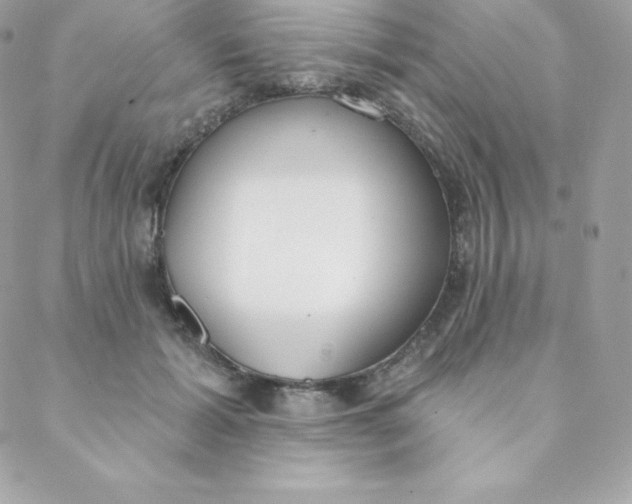 X0000088610605200706151829