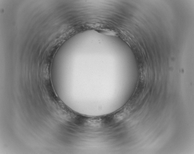 X0000088610606200706151828