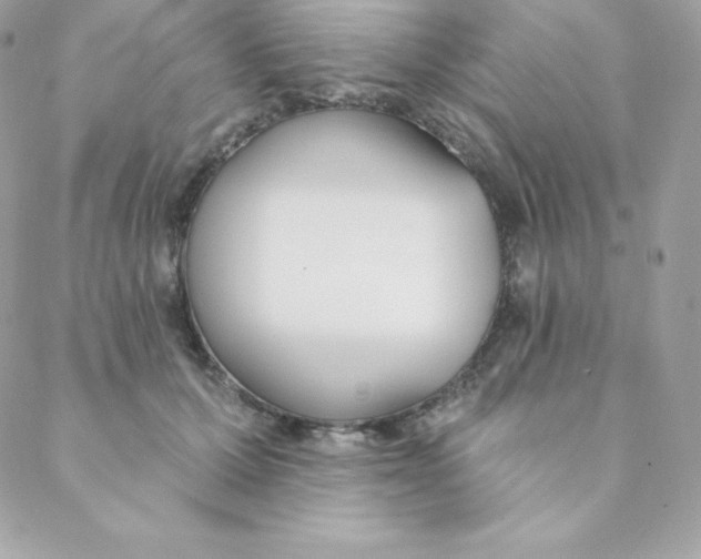 X0000088610607200706151828