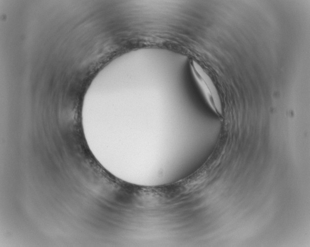 X0000088610608200706151828