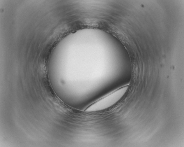 X0000088610609200706151828