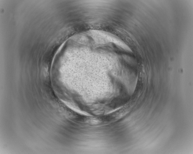 X0000088610610200706151828