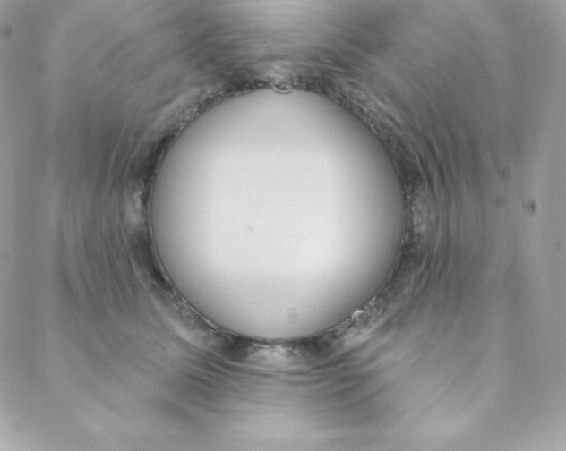 X0000088610611200706151828