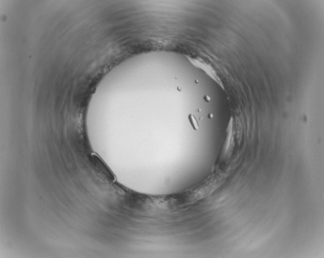 X0000088610613200706151828