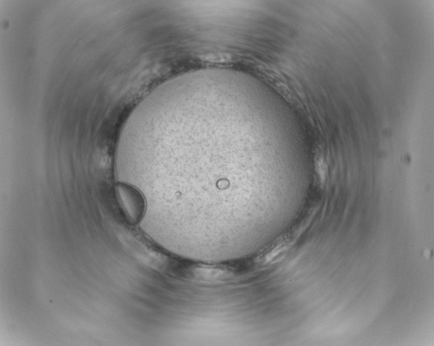 X0000088610614200706151828