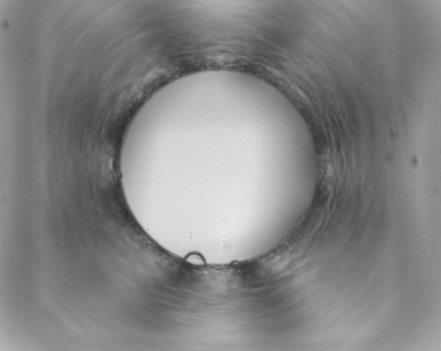 X0000088610615200706151828