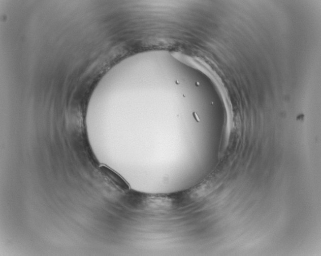 X0000088610617200706151828