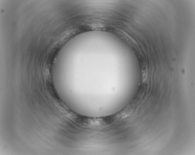 X0000088610618200706151828