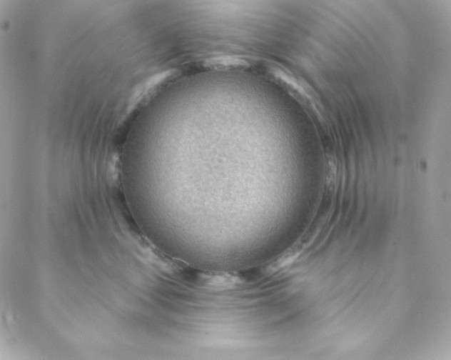 X0000088610621200706151828