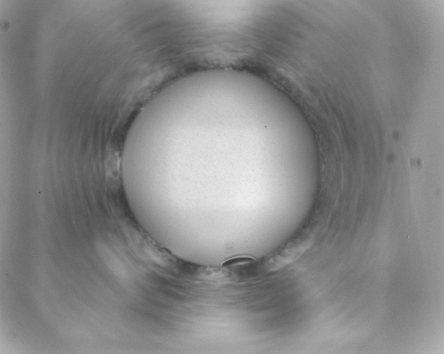 X0000088610624200706151828