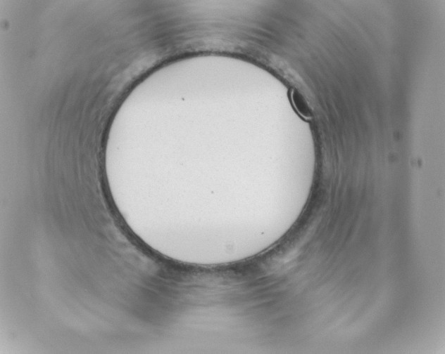 X0000088610625200706151827