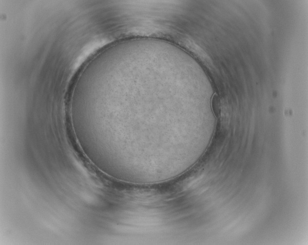 X0000088610626200706151827