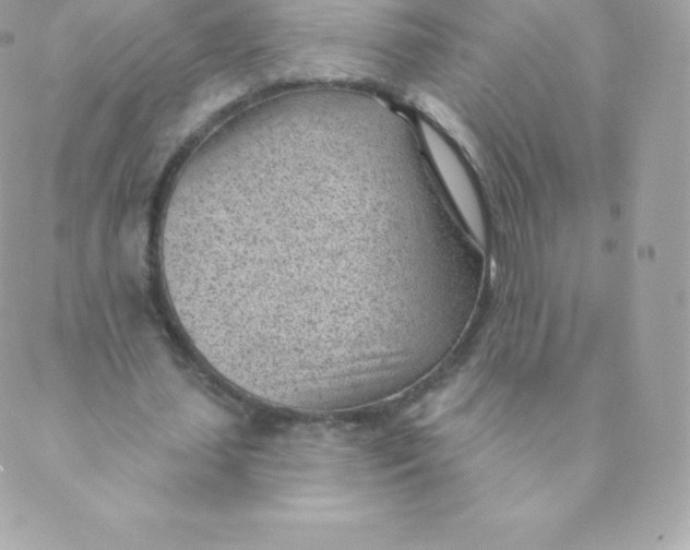 X0000088610627200706151827