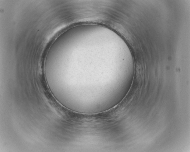 X0000088610628200706151827