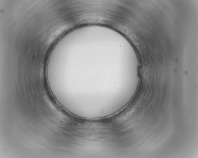 X0000088610629200706151827