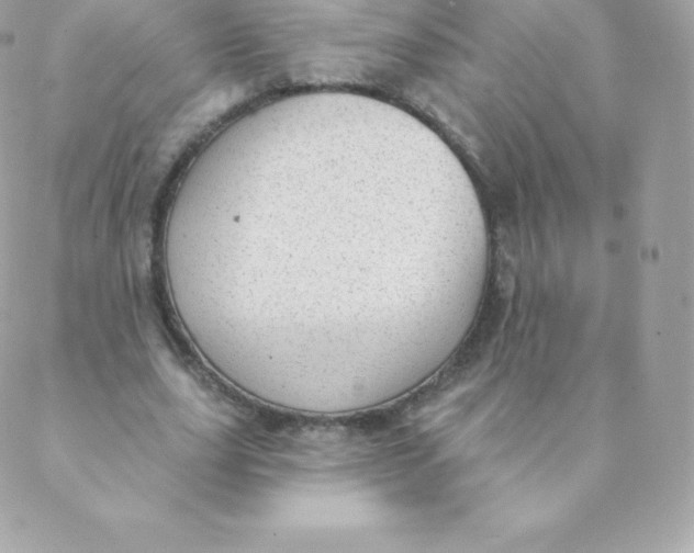 X0000088610631200706151828