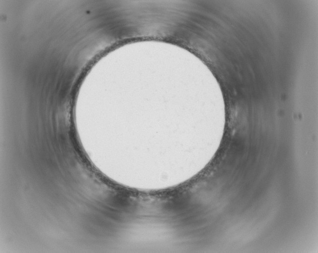 X0000088610632200706151828