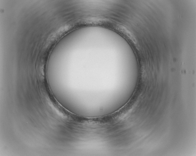 X0000088610633200706151828