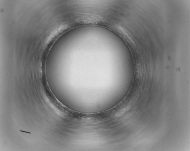 X0000088610634200706151828