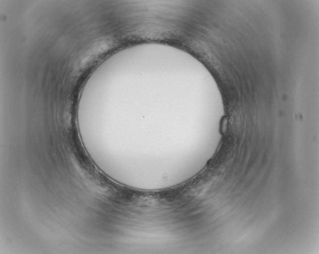 X0000088610635200706151828