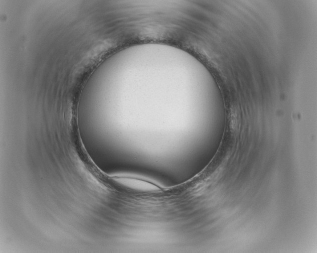 X0000088610637200706151828