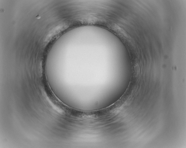 X0000088610638200706151828