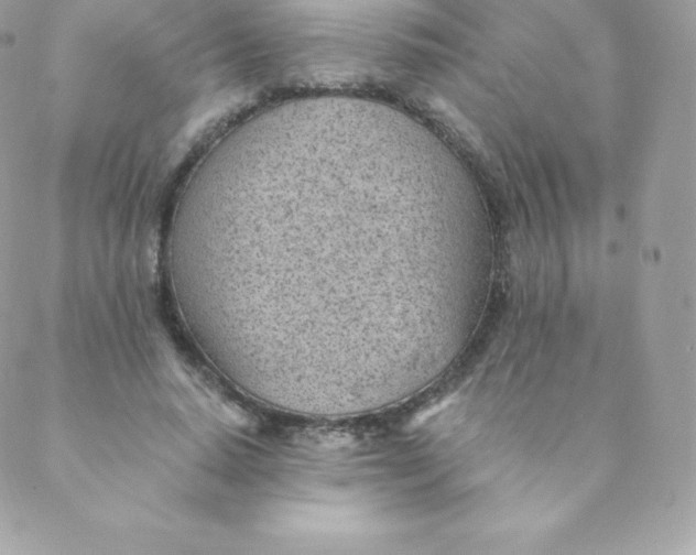 X0000088610640200706151828