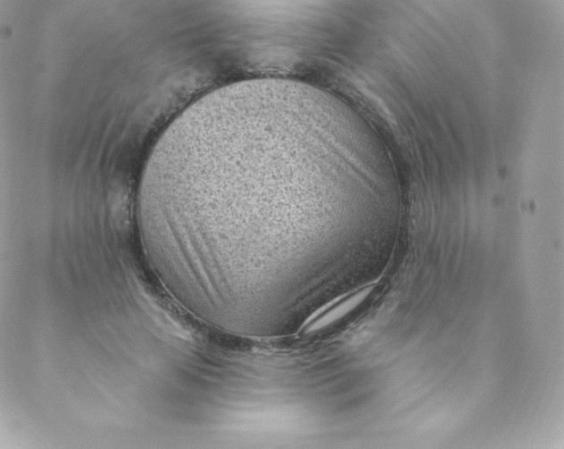 X0000088610641200706151828