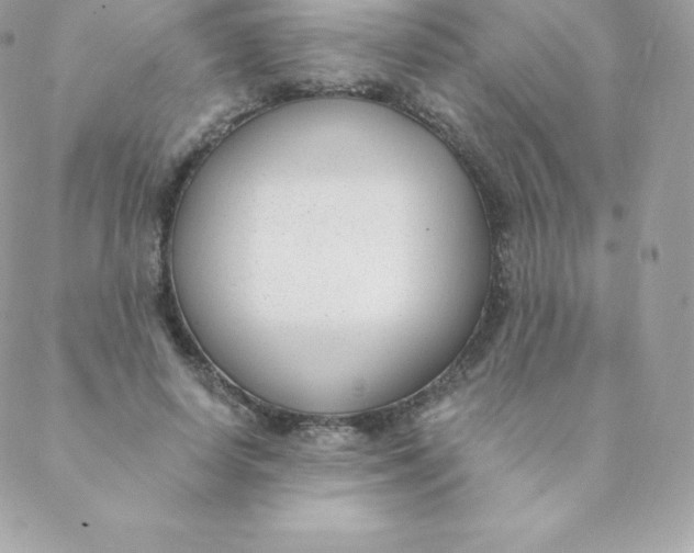 X0000088610642200706151828