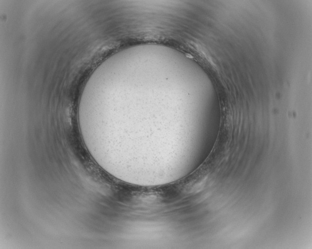 X0000088610643200706151828