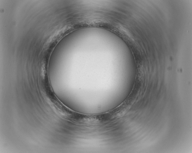 X0000088610644200706151828