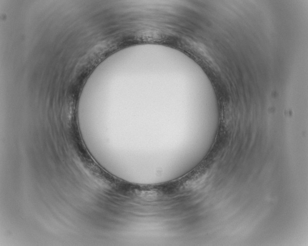 X0000088610645200706151828